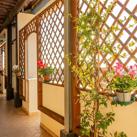 Hotel San Clemente-3